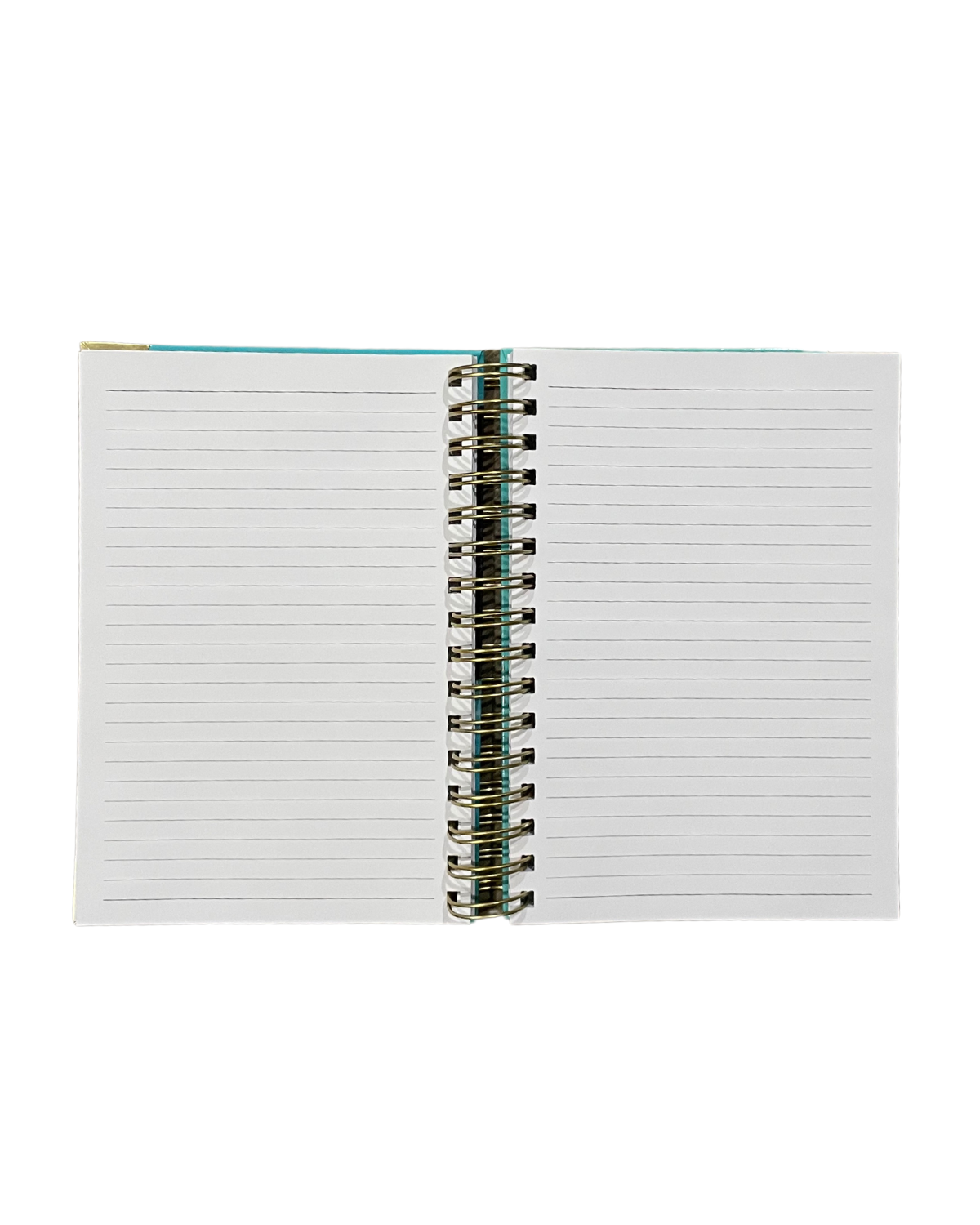 Dreamer Notebook Hard Cover 2D (No Hair)